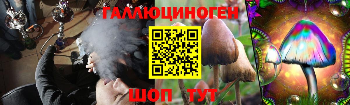 Галлюциногенные грибы Magic Shrooms Лесной